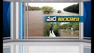 Mada Forest | at Korangi of E.G Dist | A Beautiful Touring Place | ETV Story