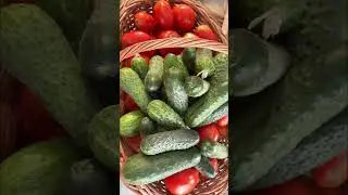 DA, FĂRĂ CHIMICALE!