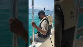 Snorkelling trip to Daymaniat islands, Oman 🇴🇲 🌊🏝️🐢🥹👌#turtlesquad #oman #daymaniatislands