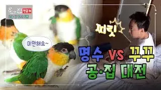 [선공개 - 공유의집 2회] 명수 vs 꾸꾸 공·집대전! (오늘밤 10시5분 방송) 김준수, 박명수, 노홍철, 박하나, 찬미 and 꾸꾸 출연