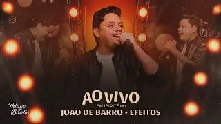 João de Barro / Efeitos - Thiago Basilio [DVD Ao Vivo Em Ibirité Vol.1]