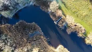 FLYING IN MY BACKYARD | DJI Mavic Mini