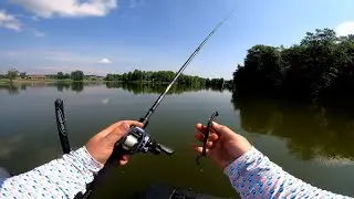 LOADED Everycast with Ribbontail Worm(Amazing Day)