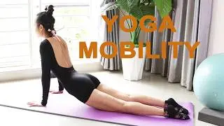 Stretching mobility & flexibility for body and back EP95