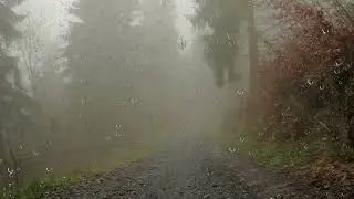 Rain Sounds   Relaxing Sounds for Insomnia Symptoms & Sleeping Disorders