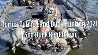 Охота на уток в общественных угодьях Флориды, 2021 | Bufflehead & Redhead Beat Down