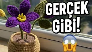 🌟 “Efsane Bir Dekoratif Çiçek Yaptım! (Örgü Saksıda Çiçek)” Part 1