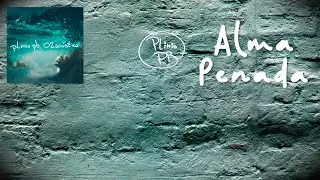 Plinio PB - Alma Penada | Lyric Video (&aacute;udio oficial)
