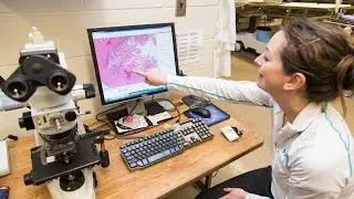Wildlife Forensic Lab Livestream