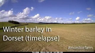 Winter barley in Dorset (timelapse)