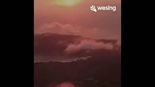   Wesing.    一曲紅塵