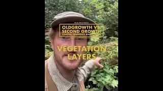Oldgrowth vs Secondgrowth Forests: Vegetation Layers