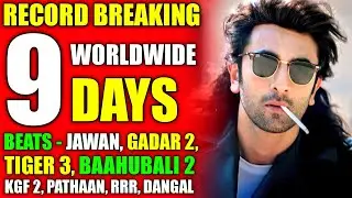 Animal 9th Day Box Office Collection | Huge Record Beats Every Film At The Box Office