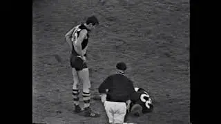 Carlton Trainer Ron Vincent got 12 weeks suspension for this incident  against Mike Patterson