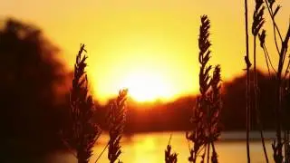 Gramatik - Somebody [HQ]