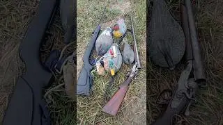 Duck Hunting Essentials Top Gear for a Successful Hunt | Best Duck Hunting Equipment for Beginners