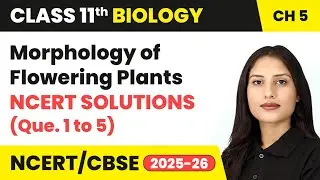 Morphology of Flowering Plants - NCERT Solutions (Que. 1 to 5) | Class 11 Biology Chapter 5 | CBSE