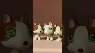 Fun fact: I didn’t know I had two of the same bull Terriers until I did this lol #littlestpetshop