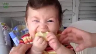 Babies Eating Lemons for the First Time Compilation 2014 NEW HD