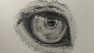 How to Draw A Realistic Lion Eye In Real Time!