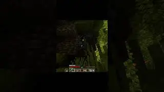 Minecraft Diamond Notch Moment