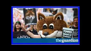 S News| Tories introduce new policy brief after concerns about images ' compassionless '