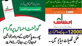 How to Apply for Ehsas Emergency Program, Register in Pakistan Ehsas Program Without Zilai Intezamia