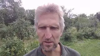 Darf ich Vorstellen?: Beinwell!
