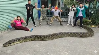 Brave Expert Rescues Younger Sister from Anaconda