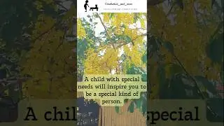 Understand children with special needs!❣️#childrenwithspecialneeds #empathy #positiveattitudes