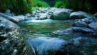 Serene River Sounds Sleep Therapy for Insomnia, Stress Relief & Relaxation