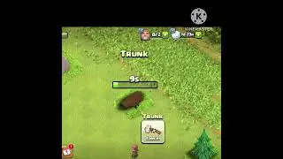 remove tree