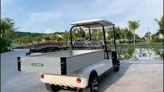 LVTONG Electric Cart with Cargo box A627.H8