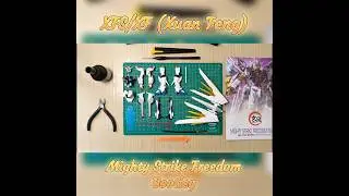 Mighty Strike Freedom Gundam | XFS #gundam #bootleg #gunpla #toys