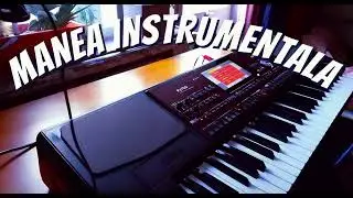 Balkan Organ Romanian Manele Type Beat 
