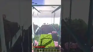 Parody for Seed Videos 😂 (Minecraft Funny Moments)
