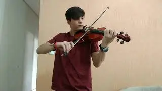 Apologize - OneRepublic violin (cover) acoustic