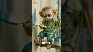💔 Baby Monkey Sad Story | Heart Touching Short 😢🐒 #Shorts