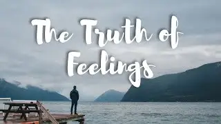 The Truth of Feelings - Travel Newton