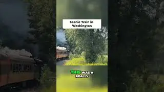 I Rode a Vintage Train Through Washington Forests