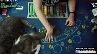 Random Blackjack and OFCP Sellout with Annorax! | Come #WINBIG!