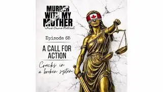 Episode 65 - A Call For Action; Cracks in a broken system