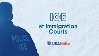 ICE at Immigration Courts