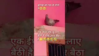 koi punchne mere dil se#cute #video #youtubeshorts #shortvideo #sadsong