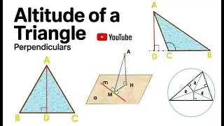 🔺Altitude of a Triangle. Perpendiculars🔺