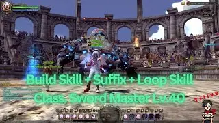[DN Sea Classic] Build Skill + Suffix + Loop Skill Class. Sword Master (Phys.) Lv.40