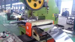ZigZag NC servo feeder for circle blanking by He-Machine