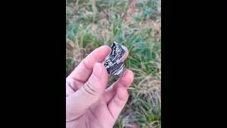 Gothic Punk Biker Skull Ring