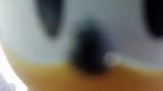 Sonic Sniff Live