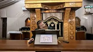 שיעור בדף היומי מנחות דף י